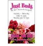 Just Buds