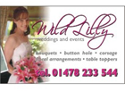 Wild Lilly